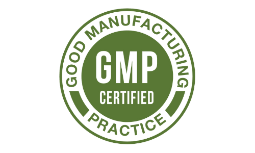 CogniCare Pro - GMP Certified